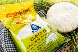 Gạo ST24, ST25 bị giả mạo nhãn hiệu tràn lan, Tổng cục Quản lý thị trường vào cuộc