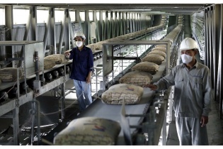 Tổng giám đốc Vicem: Giá than nhập khẩu năm 2021 có thời điểm tăng 300%