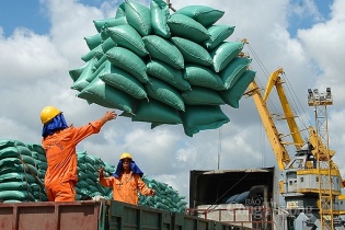 Tăng kiểm tra, giám sát, chống gian lận xuất xứ mặt hàng gạo