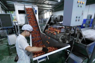 Xuất khẩu rau quả tháng đầu năm đạt 300 triệu USD