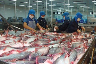 Thủy sản NTSF hưởng thuế suất 0% xuất khẩu cá tra sang Mỹ