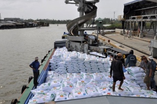 Giá phân bón thế giới đang ở mức cao nhất trong 50 năm trở lại đây