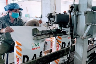 Giá phân bón tăng cao, doanh nghiệp tận dụng thời cơ xuất khẩu