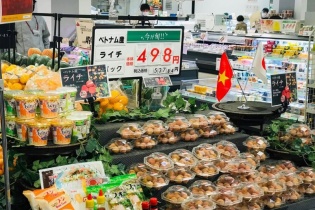 Hơn 7 tỷ USD hàng hóa xuất khẩu sang Nhật được ưu đãi thuế