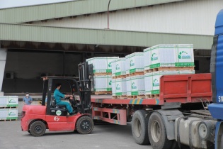 Viglacera hoàn thành 71% kế hoạch lợi nhuận năm 2022, chủ yếu nhờ bất động sản