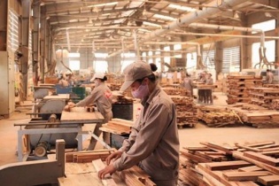 Tủ gỗ Việt Nam bị điều tra lẩn tránh thuế và chống trợ cấp tại Mỹ
