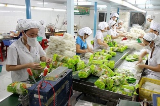 EU ngừng kiểm soát khẩn cấp đối với bún, miến, phở, bánh đa của Việt Nam