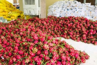 Trung Quốc thí điểm nhập khẩu trở lại trái cây Việt Nam qua cửa khẩu Lào Cai