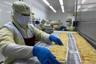 EVFTA bắc cầu để xuất khẩu tôm Việt Nam sang EU tăng 50%