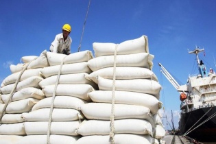 Xuất khẩu gạo nửa cuối năm vẫn "sáng"