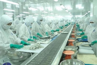 Doanh nghiệp nhẹ vai vì thủy sản nhập khẩu được miễn kiểm dịch