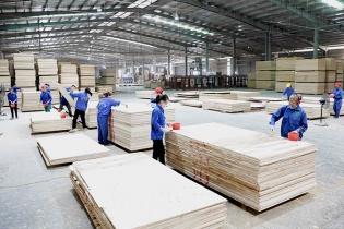 7 tháng, xuất khẩu gỗ và sản phẩm gỗ đạt gần chục tỷ USD