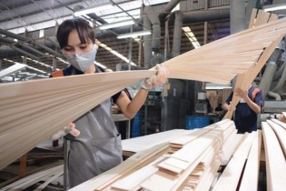 Gỗ dán Việt được tự xác nhận để loại trừ khỏi biện pháp lẩn tránh thuế tại Mỹ