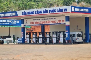 7 doanh nghiệp xăng dầu đầu mối bị tước giấy phép từ 1 đến 2 tháng