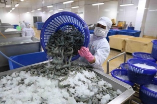 Xuất khẩu thủy sản hạ nhiệt tháng thứ 2 liên tiếp, kim ngạch dưới 1 tỷ USD