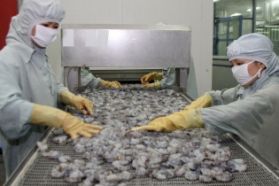 Việt Nam - EU bàn chuyện thực thi hiệu quả EVFTA