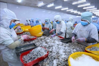 Thị trường Mỹ, Anh giảm mua tôm Việt do lạm phát