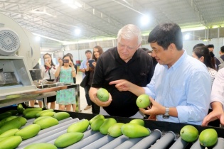 Xoài Sơn La, sâm Ngọc Linh, bơ sáp Đắk Lắk, cá hồi Sapa vào hệ thống phân phối 