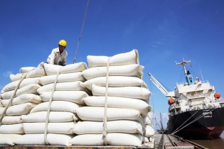 Sửa Nghị định Kinh doanh xuất khẩu gạo