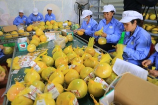 Xuất khẩu nông nghiệp sẽ vượt mục tiêu, dự kiến đạt 52,5-53 tỷ USD.