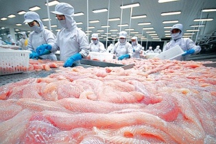 Việt Nam có 160 doanh nghiệp xuất khẩu cá tra sang Trung Quốc