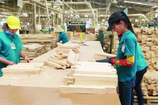 Xuất khẩu gần 16 tỷ USD gỗ và sản phẩm gỗ