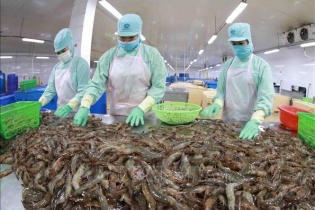 Có một năm xuất khẩu thành công, nông nghiệp năm 2023 ngắm đích 55 tỷ USD