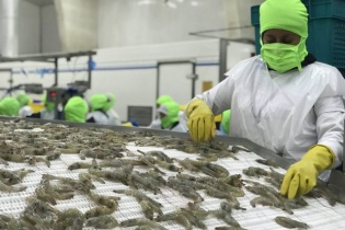Thương mại Việt Nam- Hàn Quốc tăng thêm gần 9 tỷ USD
