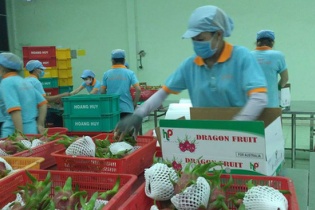 Thanh long, mỳ tôm, ớt Việt Nam vẫn bị kiểm tra khi vào EU