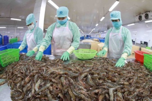 Xuất khẩu thủy sản giảm 31% trong tháng 1/2023, kỳ vọng phục hồi từ quý 2