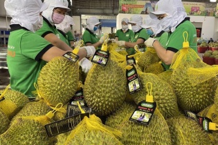 Nhiều chương trình kết nối xuất khẩu sang thị trường tỷ dân