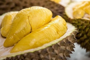 Sầu riêng Ri6 Việt Nam lần đầu tiên có mặt tại thị trường Anh