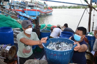 EC lùi lịch kiểm tra chống khai thác IUU tại Việt Nam sang tháng 10/2023