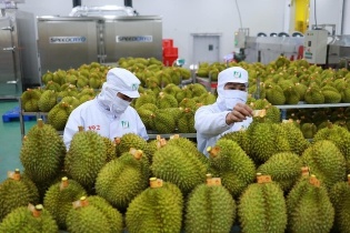 Dấu hiệu hồi phục xuất khẩu rõ hơn trong nửa cuối tháng 5 