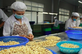 Bộ Công thương: Doanh nghiệp xuất khẩu sang Dubai thận trọng trong giao dịch