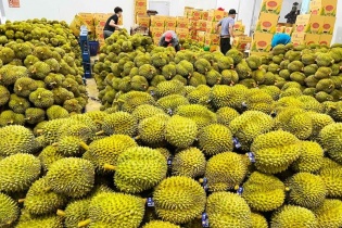 Từ nay đến hết năm, xuất khẩu rau quả có thể mang về 2,5-2,7 tỷ USD 