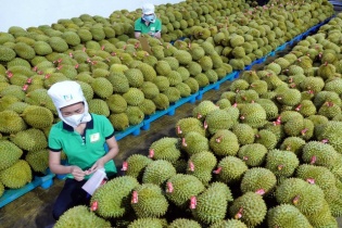 Xuất khẩu nhiều nhóm hàng nông sản khởi sắc