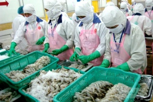 Xuất khẩu hàng hóa tháng 8/2023 đạt mức cao nhất trong một năm qua