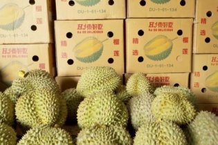 Việt Nam là nhà cung cấp sầu riêng lớn thứ 2 vào Trung Quốc