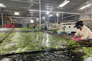 Tổng kim ngạch thương mại Việt Nam - Trung Quốc năm 2023 đạt 171 tỷ USD
