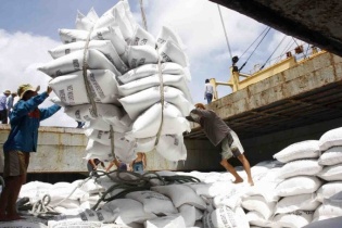 Nhiều doanh nghiệp Việt trúng thầu xuất khẩu gạo sang Indonesia