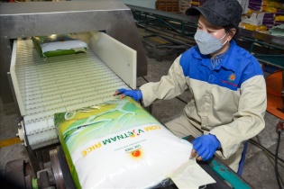 Năm 2023, Việt Nam xuất khẩu 104.000 tấn gạo sang EU
