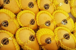 Nông sản xuất khẩu sang Hàn Quốc chú ý dư lượng thuốc bảo vệ thực vật