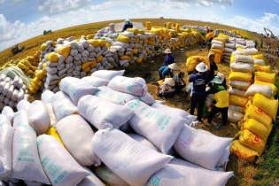 Gạo Việt Nam tiếp tục giữ vị trí số 1 tại Philippines 