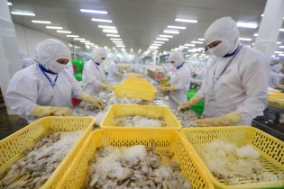 Rau quả, cà phê, hạt tiêu sang Hàn Quốc tận dụng ưu đãi FTA cao nhất 