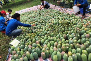 Hội nghị xúc tiến thương mại, xuất khẩu vùng Trung du, miền núi phía Bắc