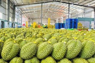 Xuất khẩu sang Trung Quốc, ASEAN tận dụng ưu đãi FTA cao ngất