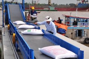 Xuất khẩu gạo nửa cuối năm 2024 vẫn khả quan