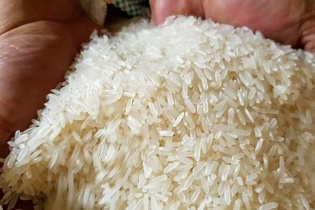 Philippines dự kiến nhập 4,5 triệu tấn gạo, Việt Nam thêm đơn hàng
