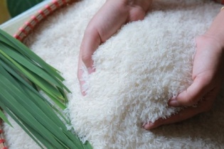 Vì sao nông sản Việt khó chinh phục thị trường khó tính